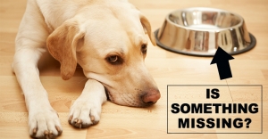 Is Your Dog Missing Vital Nutrients?