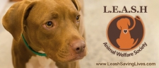 Do you know about L.E.A.S.H. Animal Welfare Society?